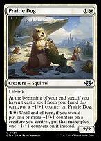 Prairie Dog