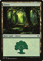 Forest