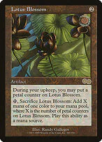 Lotus Blossom