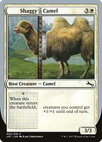 Shaggy Camel