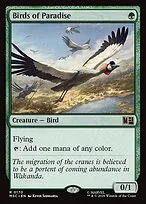 Birds of Paradise