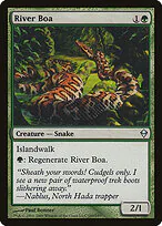 River Boa