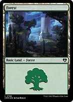 Forest