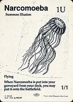 Narcomoeba