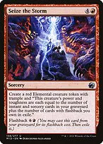 Seize the Storm