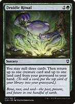 Druidic Ritual