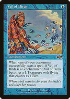 Veil of Birds