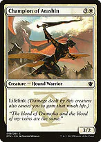 Champion of Arashin