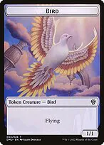 Bird