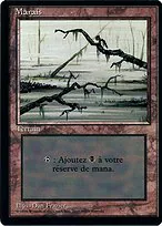 Swamp