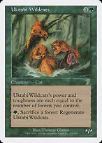 Uktabi Wildcats