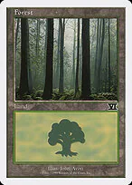 Forest