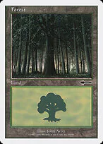 Forest