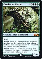 Cavalier of Thorns
