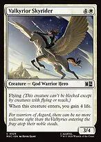 Valkyrior Skyrider