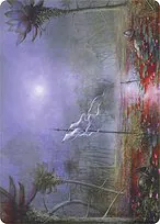 Silent Clearing // Silent Clearing