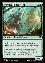 Intrepid Tenderfoot