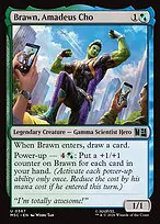 Brawn, Amadeus Cho