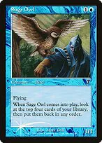 Sage Owl