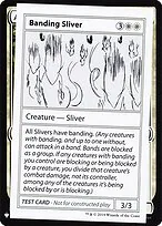Banding Sliver