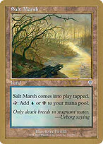 Salt Marsh