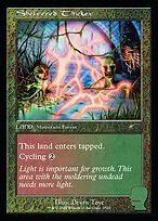 Sheltered Thicket