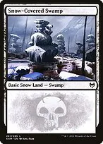 Snow-Covered Swamp