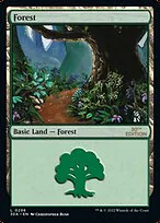 Forest