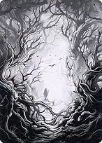 Forest // Forest
