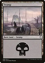 Swamp