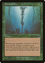 Scent of Ivy