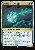 Geometer's Arthropod
