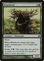 Briarhorn