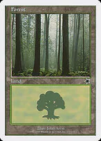 Forest