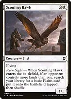 Scouting Hawk