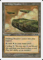 Drifting Meadow
