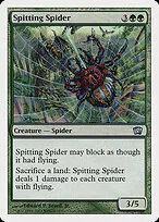 Spitting Spider