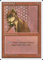 Hurr Jackal
