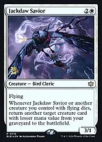 Jackdaw Savior