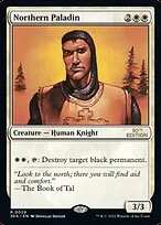 Northern Paladin