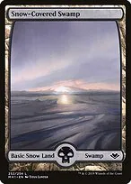 Snow-Covered Swamp