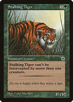 Stalking Tiger