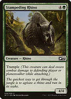 Stampeding Rhino