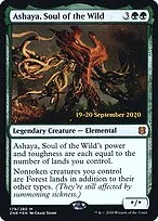 Ashaya, Soul of the Wild