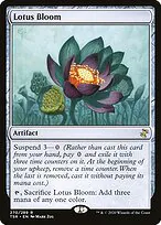 Lotus Bloom