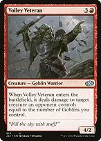 Volley Veteran