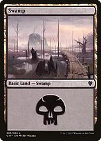 Swamp