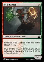 Wild Cantor