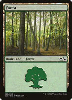 Forest