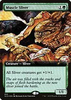 Muscle Sliver